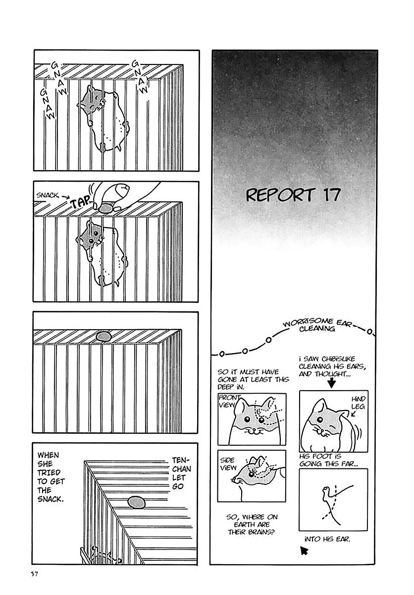 Hamster no Kenkyuu Report Chapter 6 12